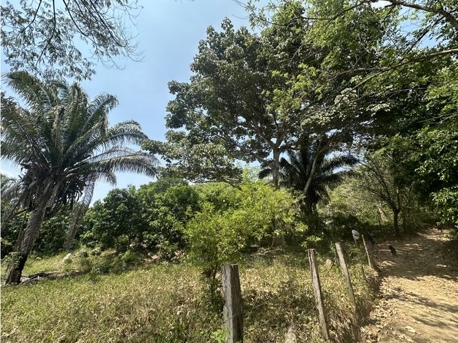 Finca en venta en Corregimiento De Minca, Santa Marta · foto 13 de 24
