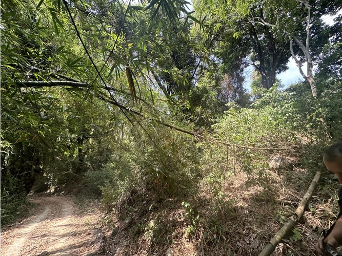 Finca en venta en Corregimiento De Minca, Santa Marta · foto 15 de 24