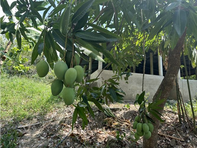 Finca en venta en Corregimiento De Minca, Santa Marta · foto 17 de 24