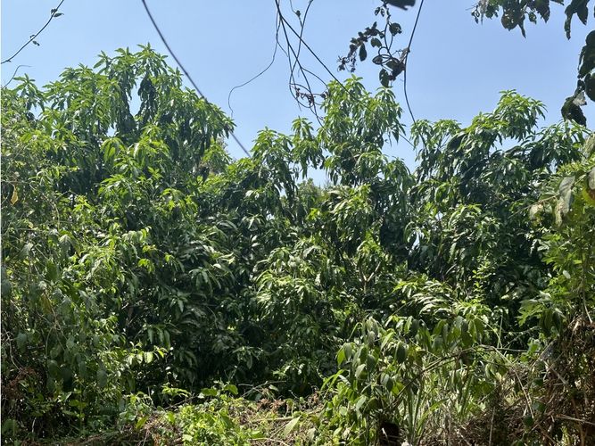 Finca en venta en Corregimiento De Minca, Santa Marta · foto 23 de 24