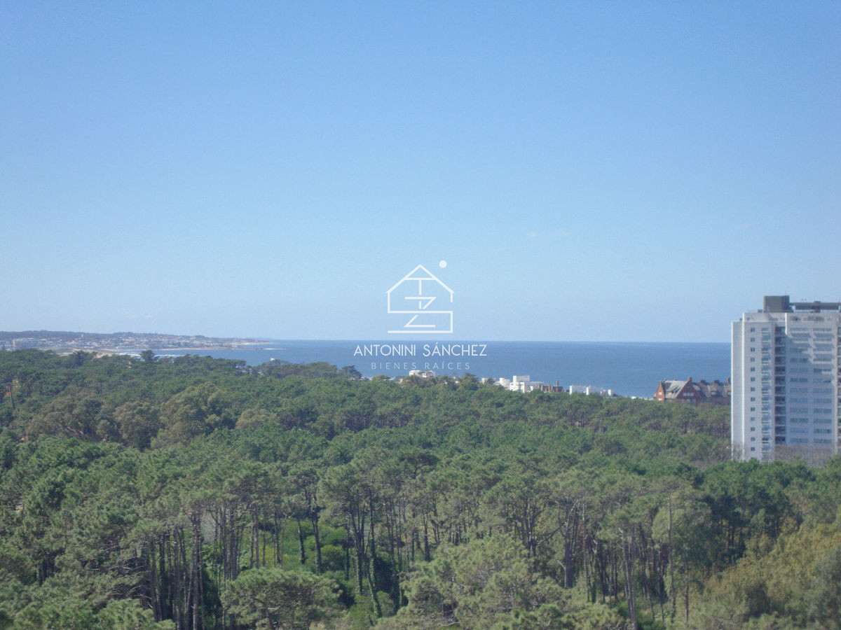 Apartamento en Alquiler · Foto 5