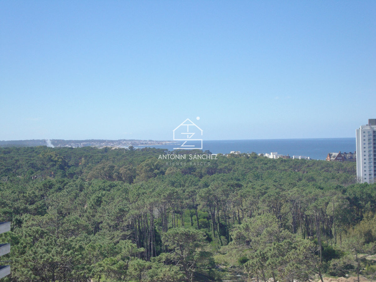 Apartamento en Alquiler · Foto 6