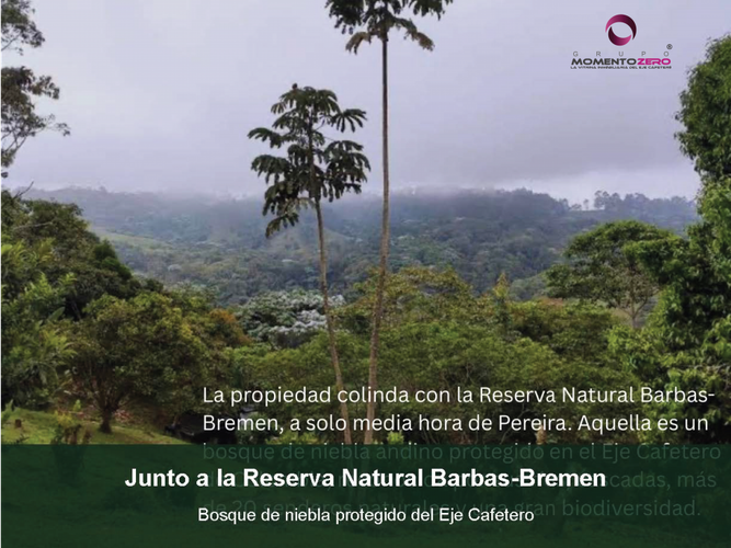 Finca en venta en San Jose, Pereira, 283 m² · foto 3 de 19