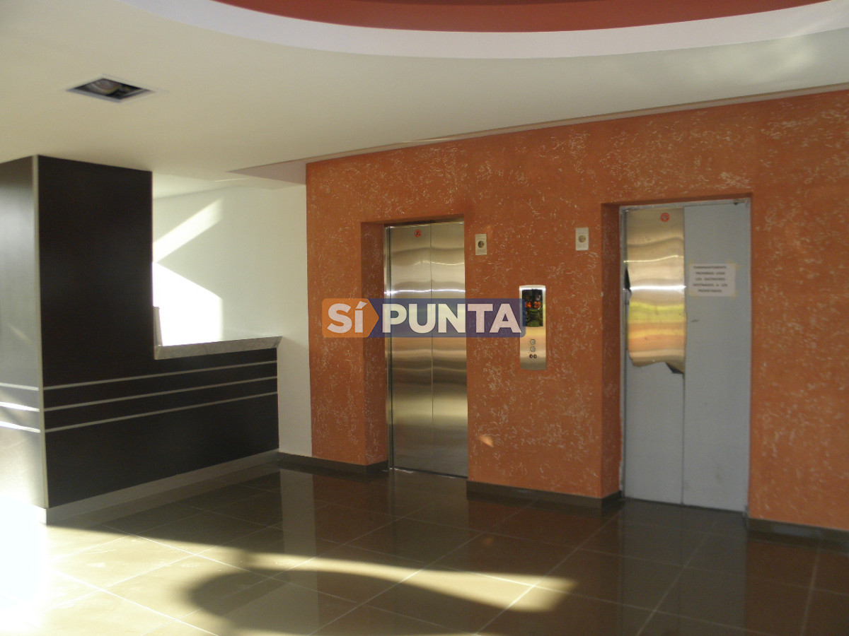 Foto 3 de 24