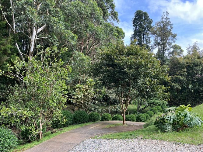 Lote en venta en El Porvenir, Rionegro, 144 m² · foto 5 de 6
