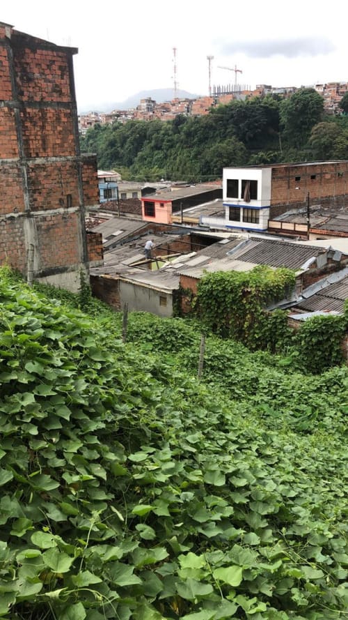 Lote en venta en Alfonso Lopez, Pereira, 60 m² · foto 8 de 10