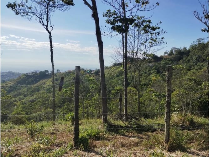 Lote en venta en Villacarmelo, Cali, 18000 m² · foto 6 de 24