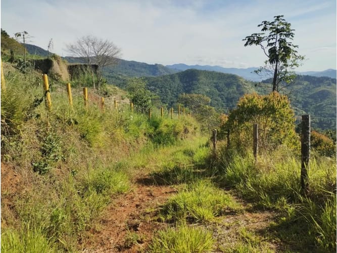 Lote en venta en Villacarmelo, Cali, 18000 m² · foto 8 de 24
