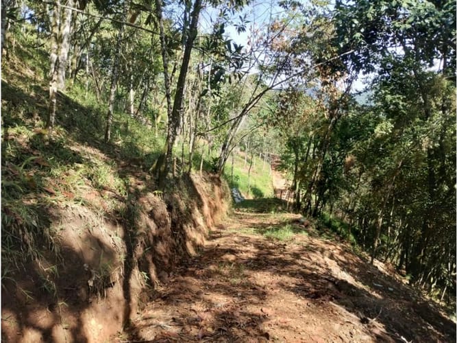 Lote en venta en Villacarmelo, Cali, 18000 m² · foto 11 de 24