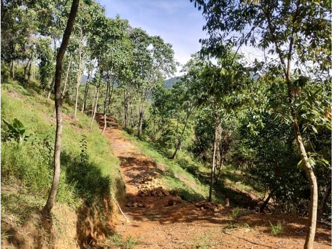 Lote en venta en Villacarmelo, Cali, 18000 m² · foto 14 de 24