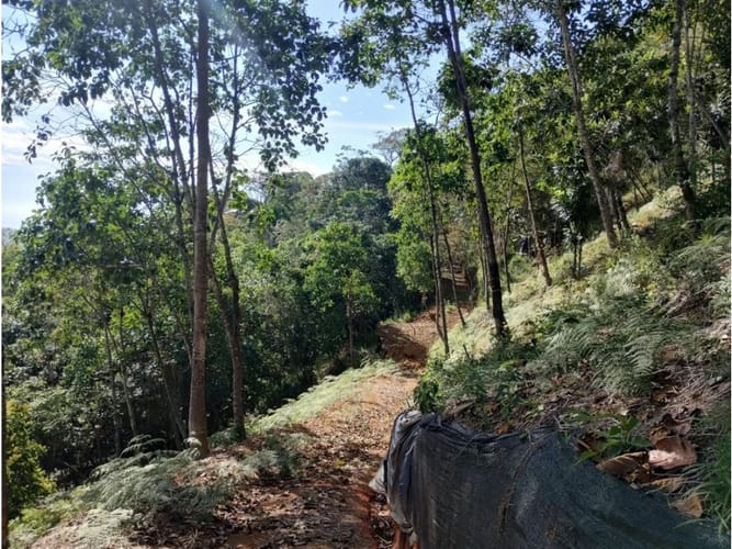 Lote en venta en Villacarmelo, Cali, 18000 m² · foto 21 de 24