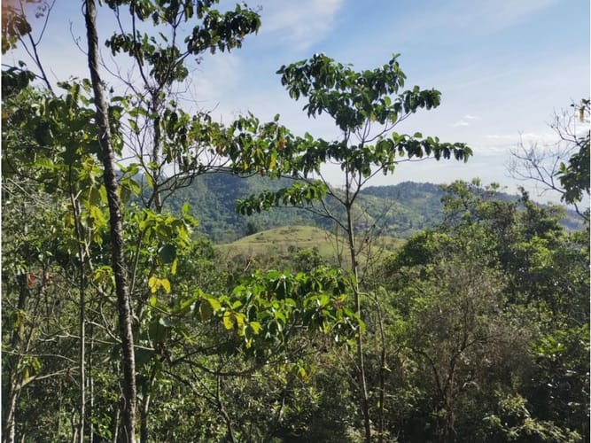Lote en venta en Villacarmelo, Cali, 18000 m² · foto 22 de 24