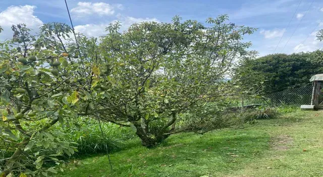 Casa de 3 alcobas en venta en El Retiro, 170 m² · foto 20 de 24