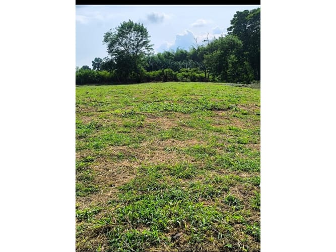 Lote en venta en Cerritos, Pereira, 8200 m² · foto 2 de 6