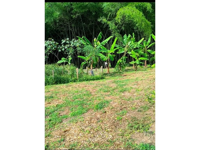 Lote en venta en Cerritos, Pereira, 8200 m² · foto 3 de 6