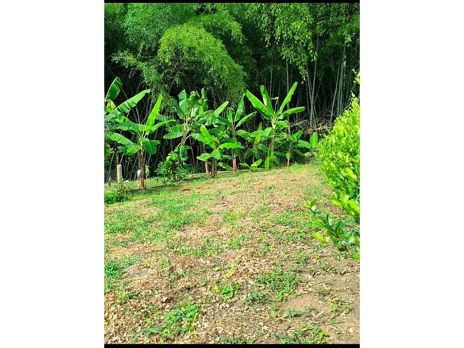 Lote en venta en Cerritos, Pereira, 8200 m² · foto 5 de 6