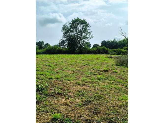 Lote en venta en Cerritos, Pereira, 8200 m² · foto 6 de 6