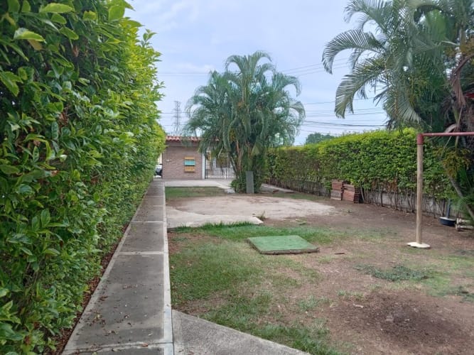 Finca en venta en Palmaseca, Palmira, 450 m² · foto 11 de 22