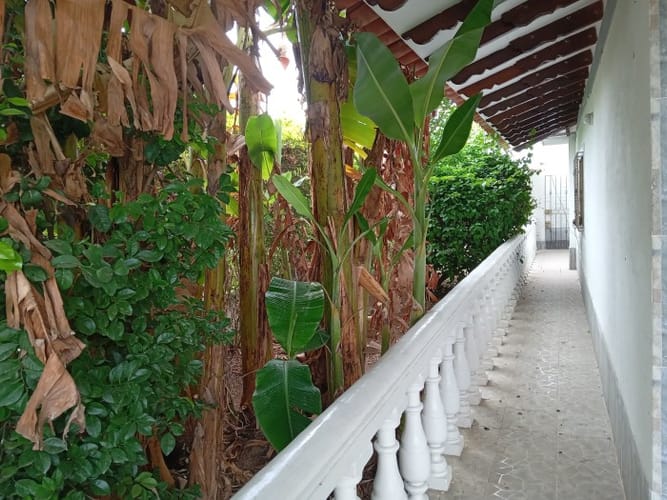 Finca en venta en Palmaseca, Palmira, 450 m² · foto 12 de 22