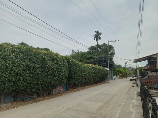 Finca en venta en Palmaseca, Palmira, 450 m² · foto 22 de 22