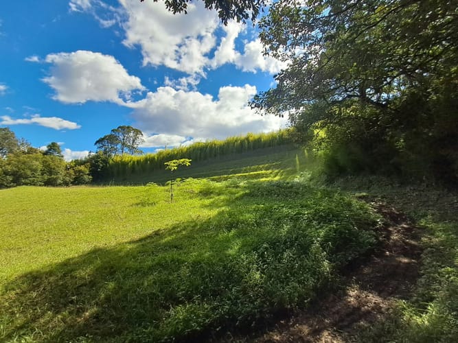 Lote en venta en Llano Grande, Rionegro, 3724 m² · foto 11 de 12