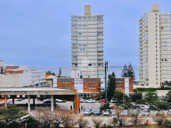 Foto 3 de 12
