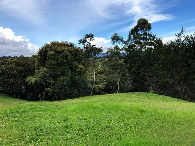 Lote en venta en Quirama, El Carmen de Viboral, 4845 m² · foto 5 de 14