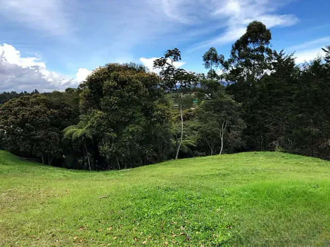 Lote en venta en Quirama, El Carmen de Viboral, 4845 m² · foto 7 de 14
