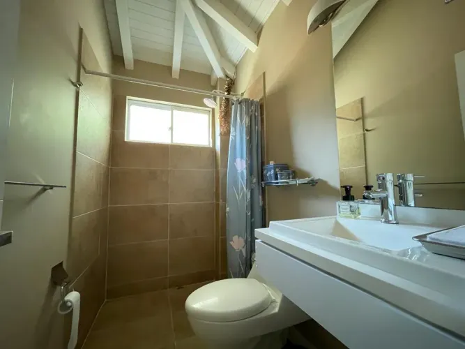 Finca en venta en Sajonia, Rionegro, 350 m² · foto 4 de 24