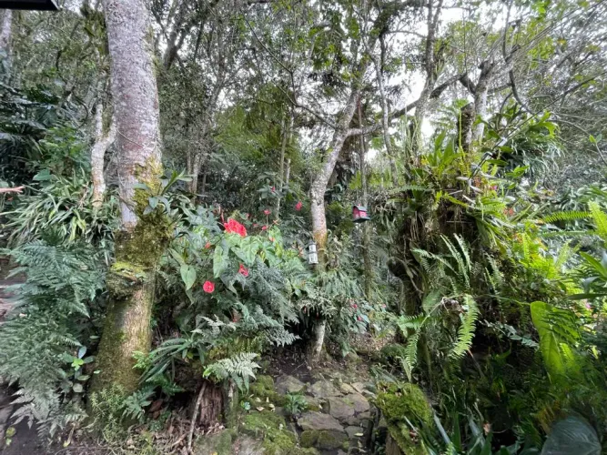 Finca en venta en Sajonia, Rionegro, 350 m² · foto 13 de 24