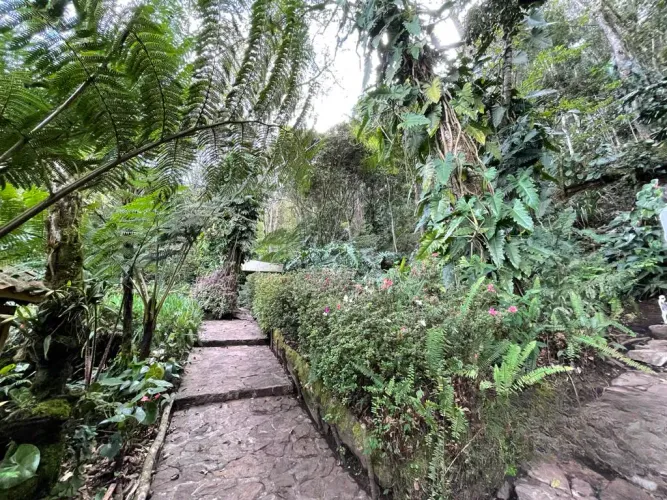 Finca en venta en Sajonia, Rionegro, 350 m² · foto 22 de 24