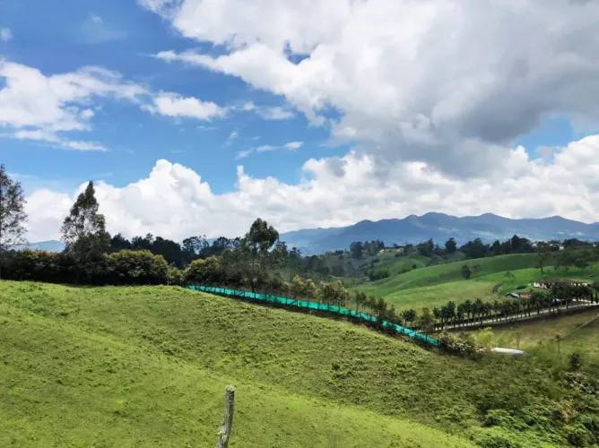 Lote en venta en El Salado, El Carmen de Viboral, 25600 m² · foto 2 de 17