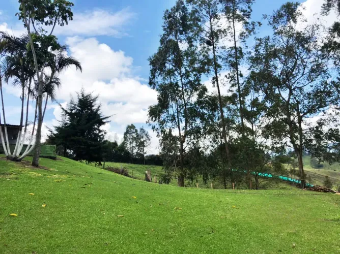 Lote en venta en El Salado, El Carmen de Viboral, 25600 m² · foto 6 de 17