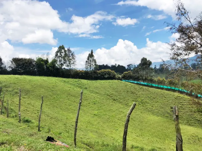 Lote en venta en El Salado, El Carmen de Viboral, 25600 m² · foto 7 de 17