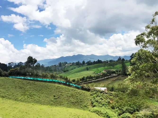 Lote en venta en El Salado, El Carmen de Viboral, 25600 m² · foto 8 de 17