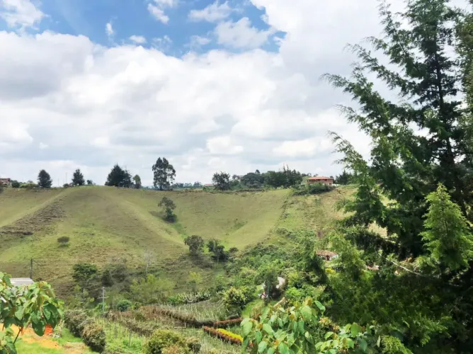 Lote en venta en El Salado, El Carmen de Viboral, 25600 m² · foto 9 de 17
