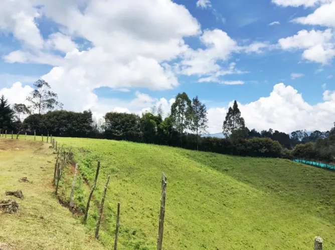 Lote en venta en El Salado, El Carmen de Viboral, 25600 m² · foto 12 de 17