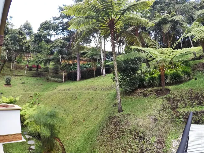 Finca en venta en La Sonadora, El Carmen de Viboral, 6380 m² · foto 24 de 24