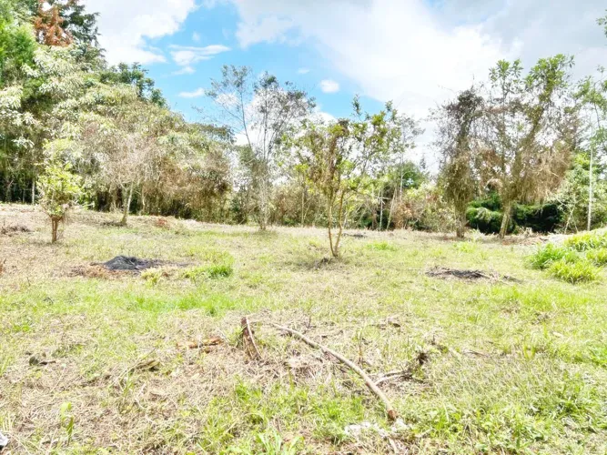Lote en venta en Belen, Marinilla, 7950 m² · foto 2 de 7