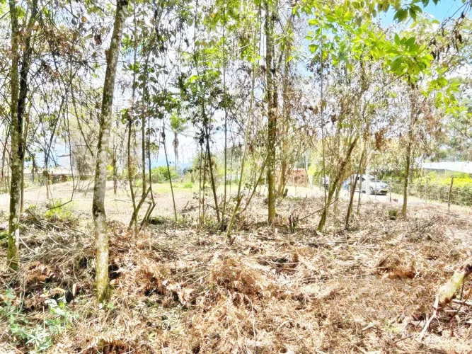 Lote en venta en Belen, Marinilla, 7950 m² · foto 4 de 7