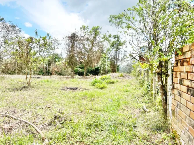 Lote en venta en Belen, Marinilla, 7950 m² · foto 5 de 7