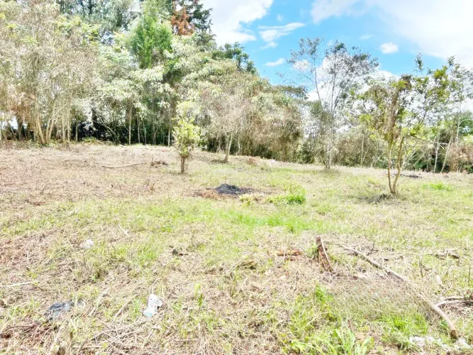 Lote en venta en Belen, Marinilla, 7950 m² · foto 6 de 7