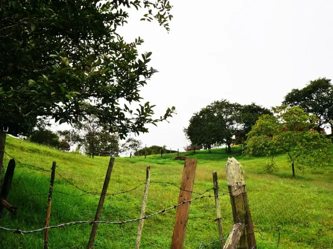 Lote en venta en Llano Grande, Rionegro, 15119 m² · foto 2 de 15