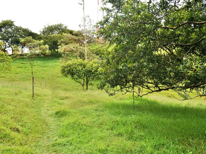 Lote en venta en Llano Grande, Rionegro, 15119 m² · foto 3 de 15