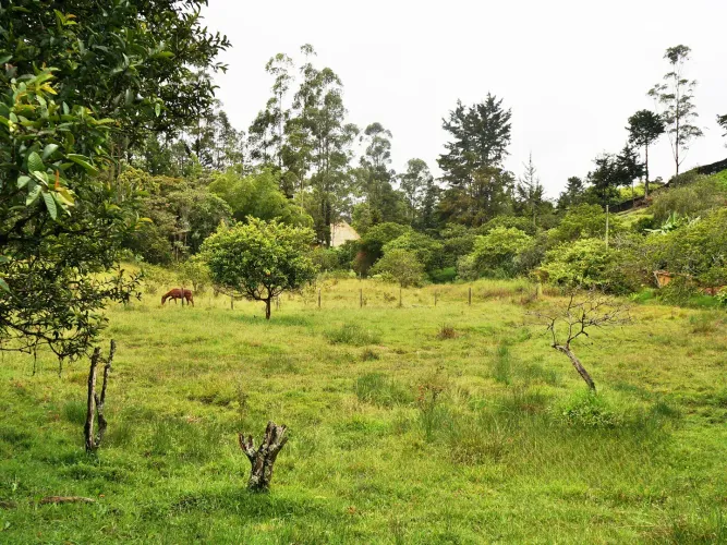Lote en venta en Llano Grande, Rionegro, 15119 m² · foto 4 de 15