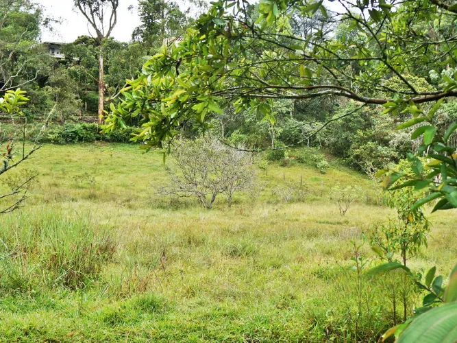Lote en venta en Llano Grande, Rionegro, 15119 m² · foto 6 de 15