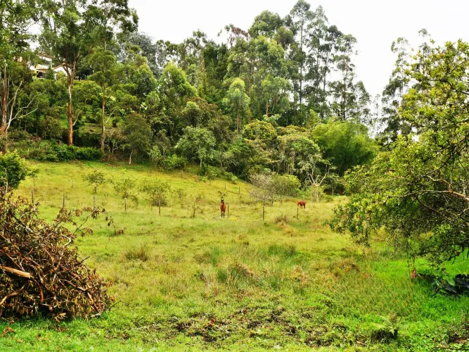 Lote en venta en Llano Grande, Rionegro, 15119 m² · foto 7 de 15