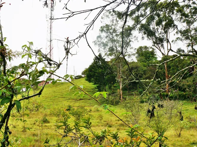 Lote en venta en Llano Grande, Rionegro, 15119 m² · foto 10 de 15