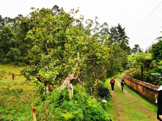 Lote en venta en Llano Grande, Rionegro, 15119 m² · foto 11 de 15