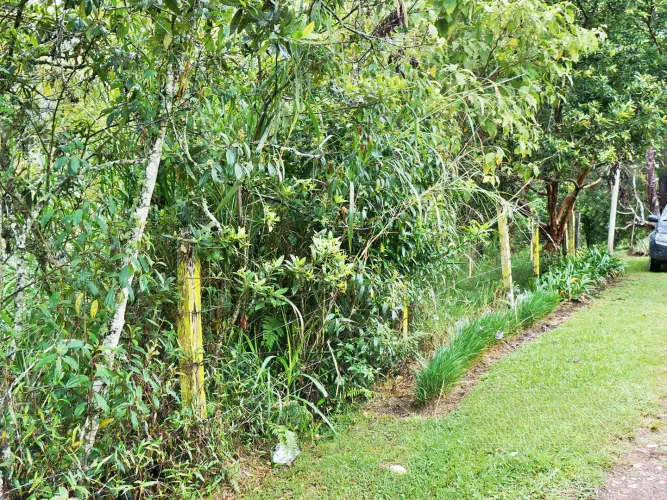 Lote en venta en Llano Grande, Rionegro, 15119 m² · foto 13 de 15